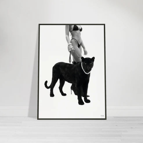 CAT WALK